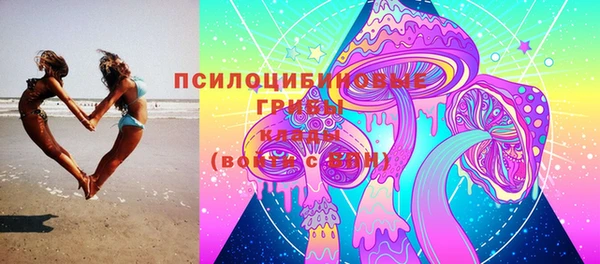 гашик Аркадак