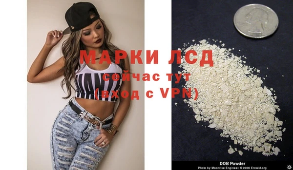 гашик Аркадак