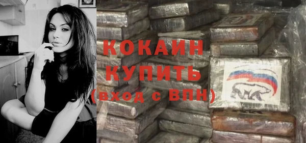 гашик Аркадак