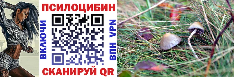 Псилоцибиновые грибы мицелий  Берёзовский 